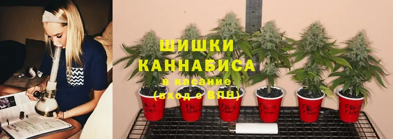 гидра онион  Тарко-Сале  Марихуана White Widow 